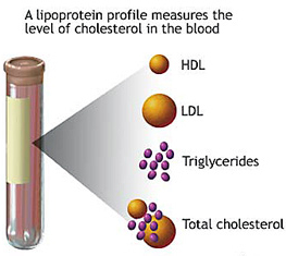 blood test